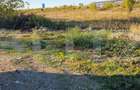 Teren 5000m2 Targoviste - ZONA INDUSTRIALA C.O.S. TGV - 3