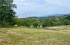 Teren intravilan, 25 ari, Danesti - 3