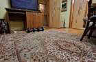 Apartament 3 camere central Aleea Florilor Prefectura Piata Progresul - 6