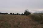 Vand teren Ciurbesti intre padure si case - 1