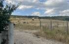 Teren de vanzare 1.600 mp Varianta Grigorescu - Floresti | Panorama deosebita - 4