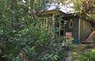 Teren de vanzare cu cabana Uliului, Grigorescu aproape de Padurea Hoia, Cluj-Napoca - 1