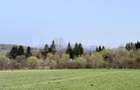 Teren intravilan, 7838 mp, cu priveli?te superba spre m... - 6