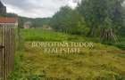 COMISION 0% | 3 constructii | Teren 2.100mp | Simisna, Salaj - 4