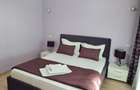 Apartament cu 2 camere  Sat Vacanta zona hotel Parc 400 euro - 8