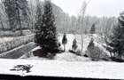 Casa de vacanta cu teren 2000mp Valea Avrigului - 28