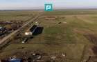 Hală industrială cu teren generos în Zărand, Arad - 32