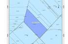 9 ha extravilan Targusor, Constanta - 4