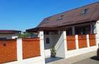 Vand proprietate Ianova - 3
