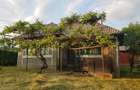 Casa 40 arii de teren in loc.Trestia la 26km de Baia Mare 39.800 Euro - 5