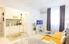 Apartament cu 2 camere de inchiriat in zona Piata Victoriei - 4