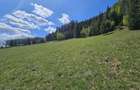 Teren de vanzare in Bucovina zona Pojorata pe Transrarau - 6