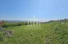 Teren intravilan | 1300 mp | 27.5 ml deschidere | Cetate
