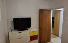 Inchiriez apratament 2 camere Zona Teiul Doamnei - 8