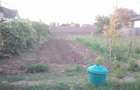 Vand casa schimb in Corabia,jud Olt - 4
