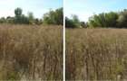 Teren Branceni, ID: R2942560 - 6