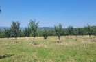Proprietar vand 2 hectare teren extravilan - 6