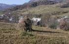 De vânzare teren intravilan de 2000 mp în Poienile Izei, Maramureș – Proprietar - 2