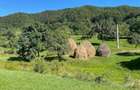 1,76 ha intravilan cu parau de munte si 3 cabane Via Transilvanica, Mures - 8