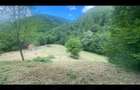 Vand teren +casu?a in zona de munte - 7
