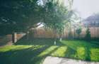 Proprietate 425 mp utili, 17 camere, P+1+M, teren 494 mp, Corbeanca | Investitie