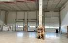 COMISION 0 / Hala clasa A / Autorizatie ISU / Show-room - 5