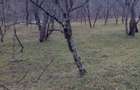 Vand teren intravilan 2000 mp - 6
