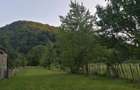 Vand casa ?i teren 2500 mp la munte in Valea Uzului. - 4