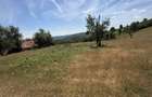 DE VANZARE PROPRIETATE 8,55 HA cu livada, pomi fructiferi, padure si priveliste panoramica comuna Balta, jud MEHEDINTI - 4
