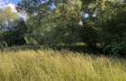 Vand teren 2000 mp intravilan zona Sohodol , Bran - 2
