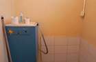 Casa cu 3 camere langa Dunăre - 9