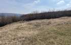 Teren intravilan 11.300mp, Barnova, cu acces auto si front stradal - 6
