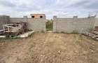 Duplex Mosnita Noua | Valery