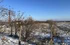 Teren 2000mp 200m de plaja - Intre 2 Mai si Vama Veche