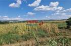 Teren intravilan 5.756 mp cu acces direct la Soseaua de Centura Alba - 2