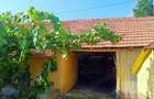 Casa de vanzare sat Tes jud Timis - 2