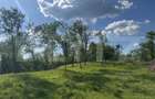 Teren intravilan de vanzare, 15080 mp, zona Tatara?ti - 3