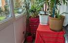 Apartament 2 camere Brazda lui Novac - 4