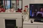 Inchiriez 2 camere in vila singur curte mobilat , utilat complet nou - 5
