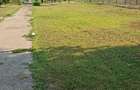 inchiriez casa si teren lac snagov - 4