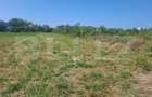 Teren agricol de vanzare, 1600 mp, zona Micro 11 - 3