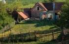 5 ha cu casa la tara - 4