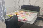 Inchiriez apartament 2 camere Doamna Stanca, Sibiu - 9