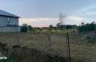 Samurcasi Buftea, teren 900 mp - 6