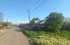 Teren 1500 mp Spantov Stancea Calarasi - 1