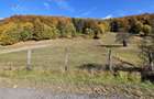 De vanzare teren intravilan 5.200 mp front 40 m DN10 Teliu, Brasov