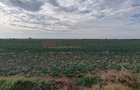 Ferma Agricolă 1.350 HA – Grad de Comasare 96–97%, Județul Arad - 5