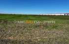 Teren de Vanzare Autorizat Chitila | 23.600 mp | D: 85 m |