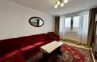 2 camere decomandat Spitalul Jud.-pet-friendly, renovat complet - 8