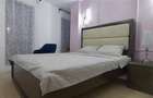 Apartament 2 camere de inchiriat in zona Herastrau - 4
